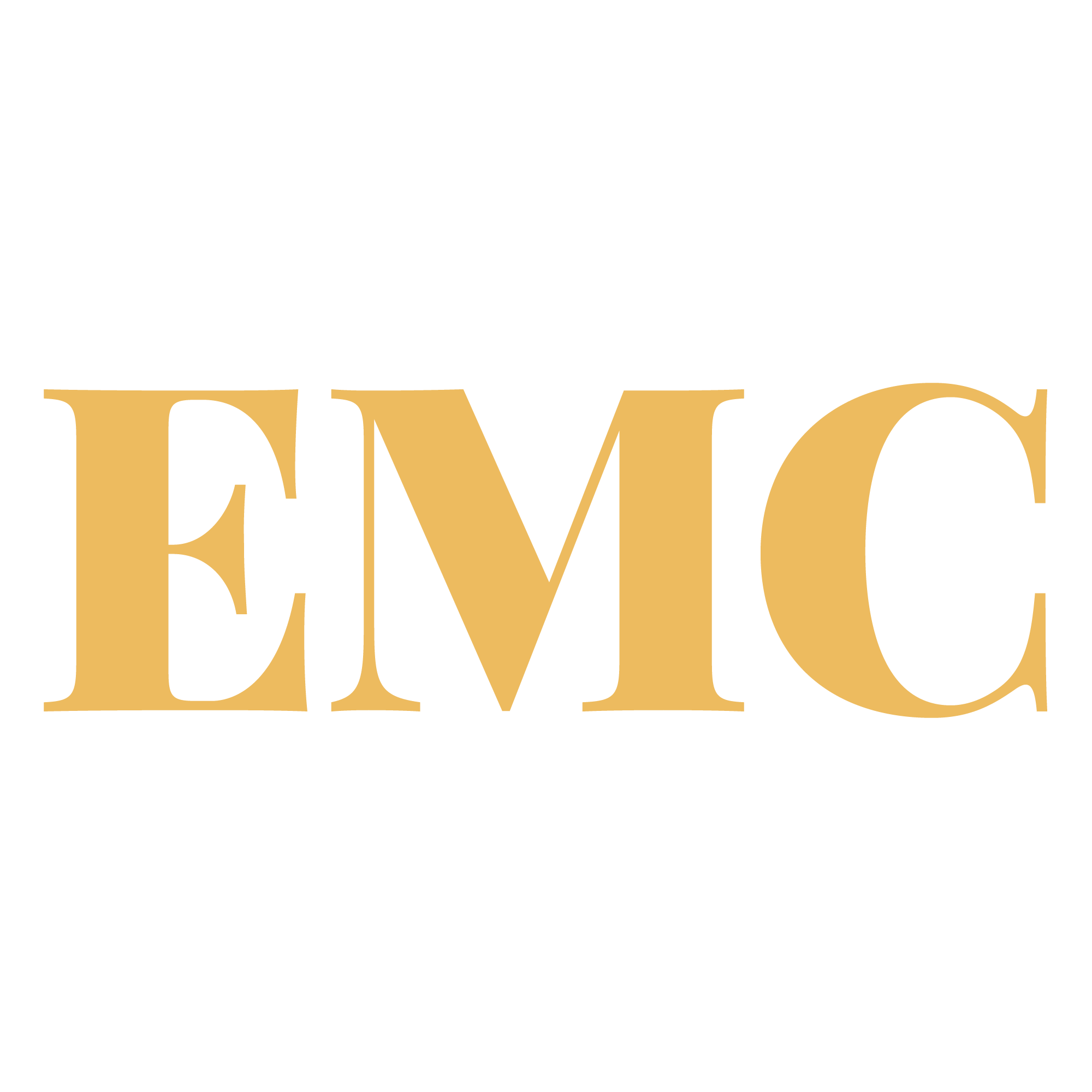 EMC Investment Group Inc